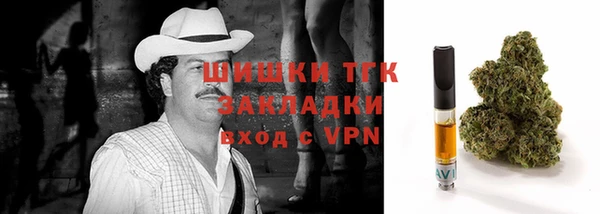 трава Арсеньев