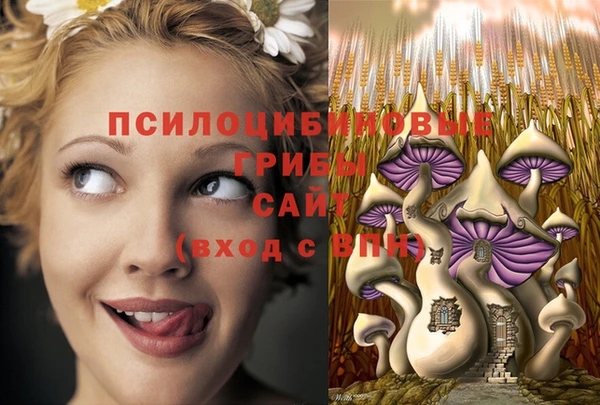 трава Арсеньев