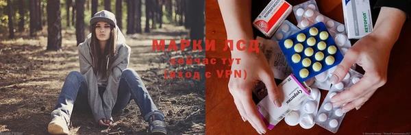 крисы Богородицк
